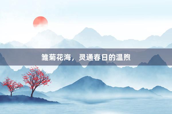 雏菊花海，灵通春日的温煦