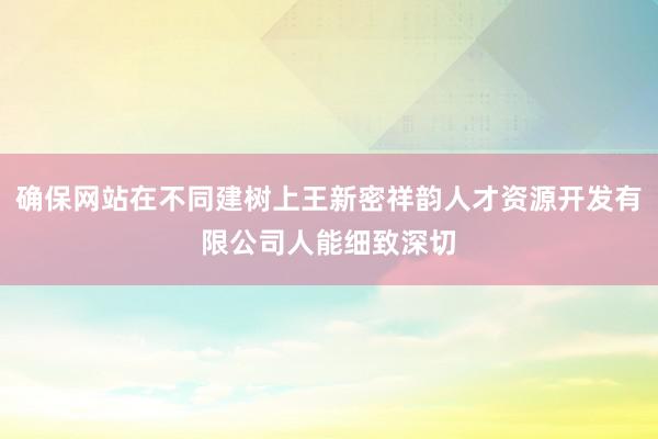 确保网站在不同建树上王新密祥韵人才资源开发有限公司人能细致深切