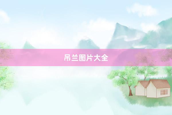吊兰图片大全